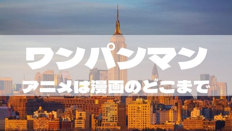 ワンパンマン アニメは漫画のどこまで アニ続vマーケット